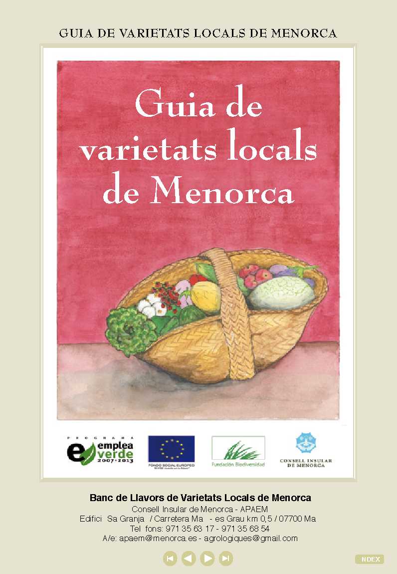 extraer-pagina-1.jpg