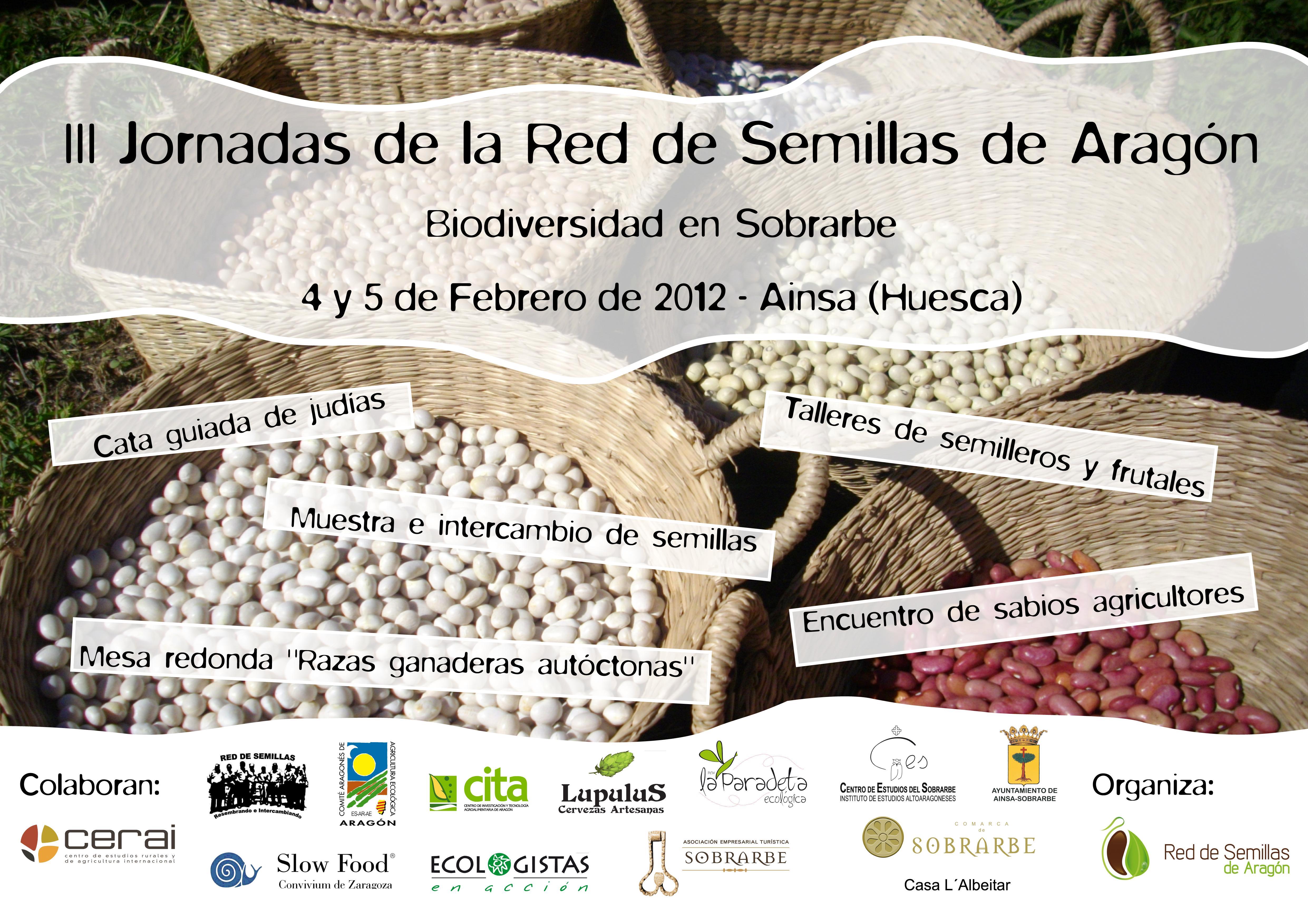 120204-5_cartel_jornadas-ainsa-rdsa.jpg
