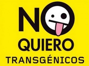 no-transgenicos-300x222.jpg