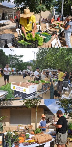 5firaagricola_dins_thb_med.jpg