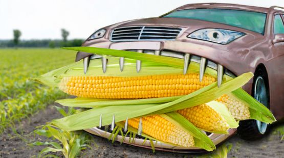 auto-frisst-mais2.jpg