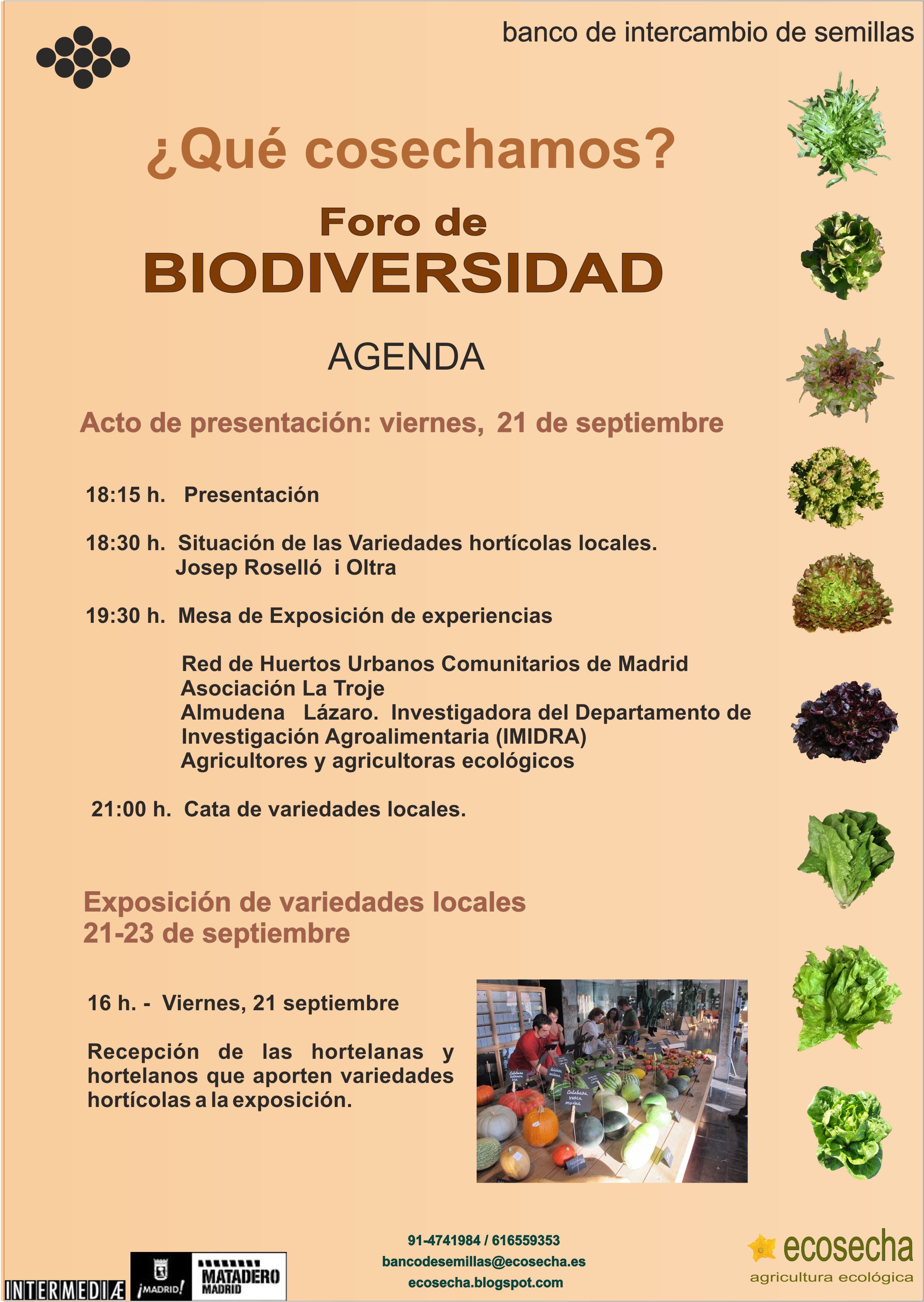 agenda-foro-biodiversidad-2012-a-4-2.jpg