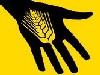 sistema_alimentario_mundial_icon.jpg