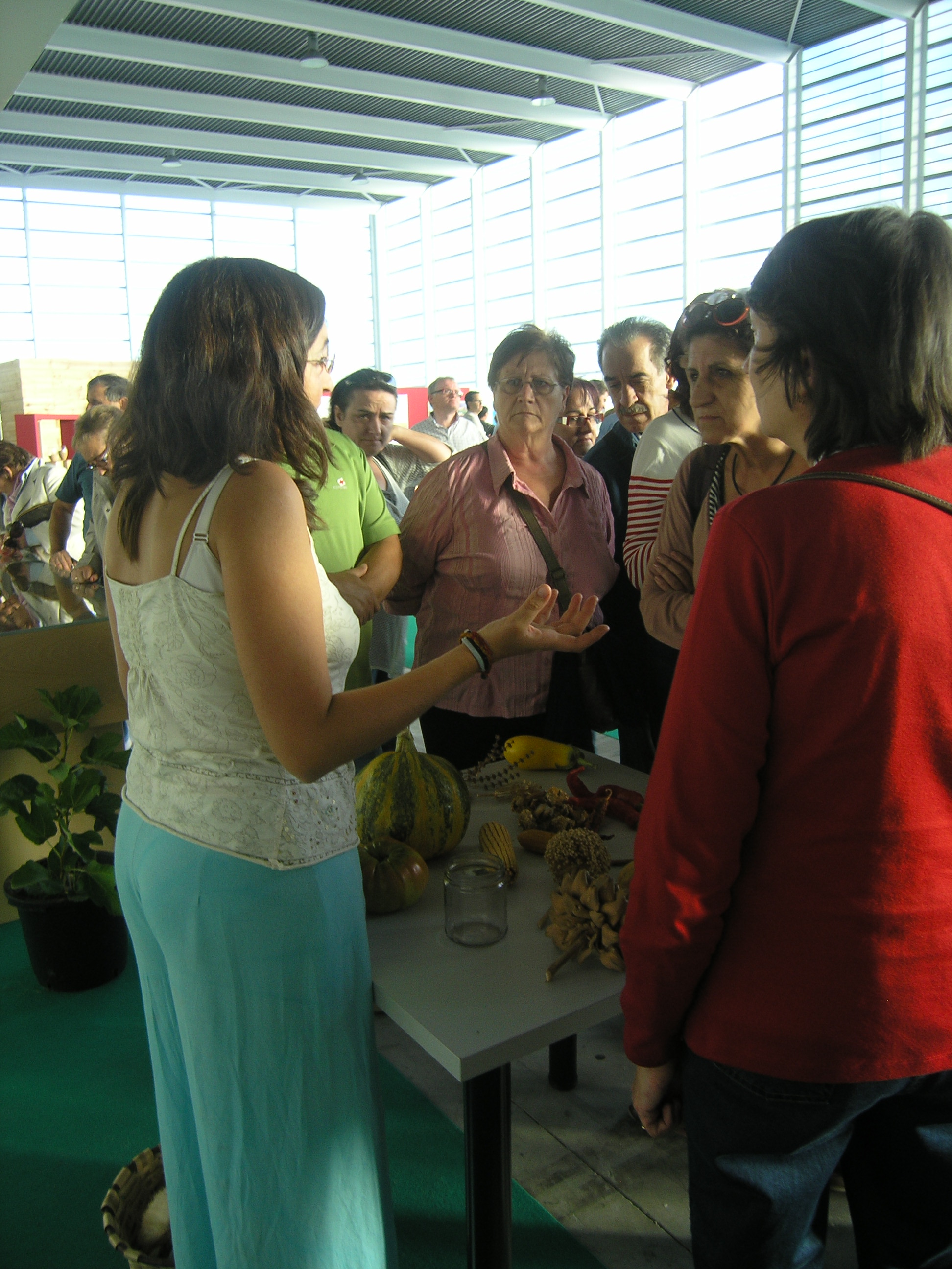 taller-de-produccion-de-semillas.JPG