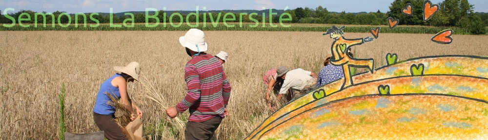 logo11.jpg