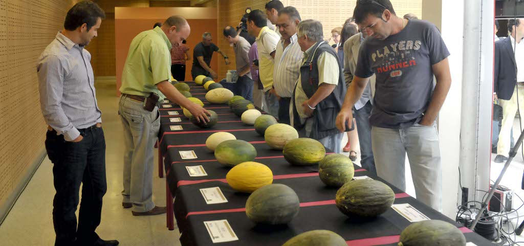melones-madrid11.jpg