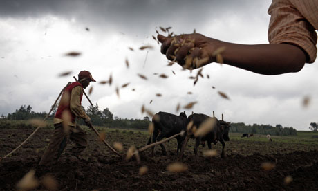 mdg-seed-plowing-a-fiel-009.jpg