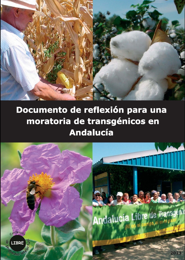 portada21.JPG