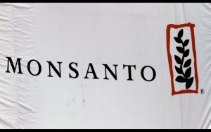 monsanto