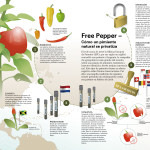 11_Spanish_20140129_FreePepper-Infografik_Web