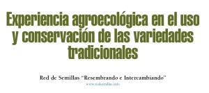 Artículo_RdS
