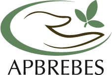 logo apbrebes