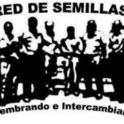 (c) Redsemillas.info